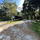 Review photo of Hillsborough River State Park Campground by Lauren W., October 27, 2023