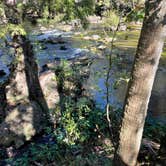 Review photo of Hillsborough River State Park Campground by Lauren W., October 27, 2023