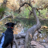 Review photo of Hillsborough River State Park Campground by Kathy L., February 15, 2024