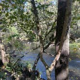 Review photo of Hillsborough River State Park Campground by Lauren W., October 27, 2023