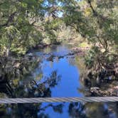 Review photo of Hillsborough River State Park Campground by Lauren W., October 27, 2023