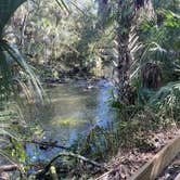 Review photo of Hillsborough River State Park Campground by Lauren W., October 27, 2023