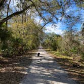 Review photo of Hillsborough River State Park Campground by Kathy L., February 15, 2024