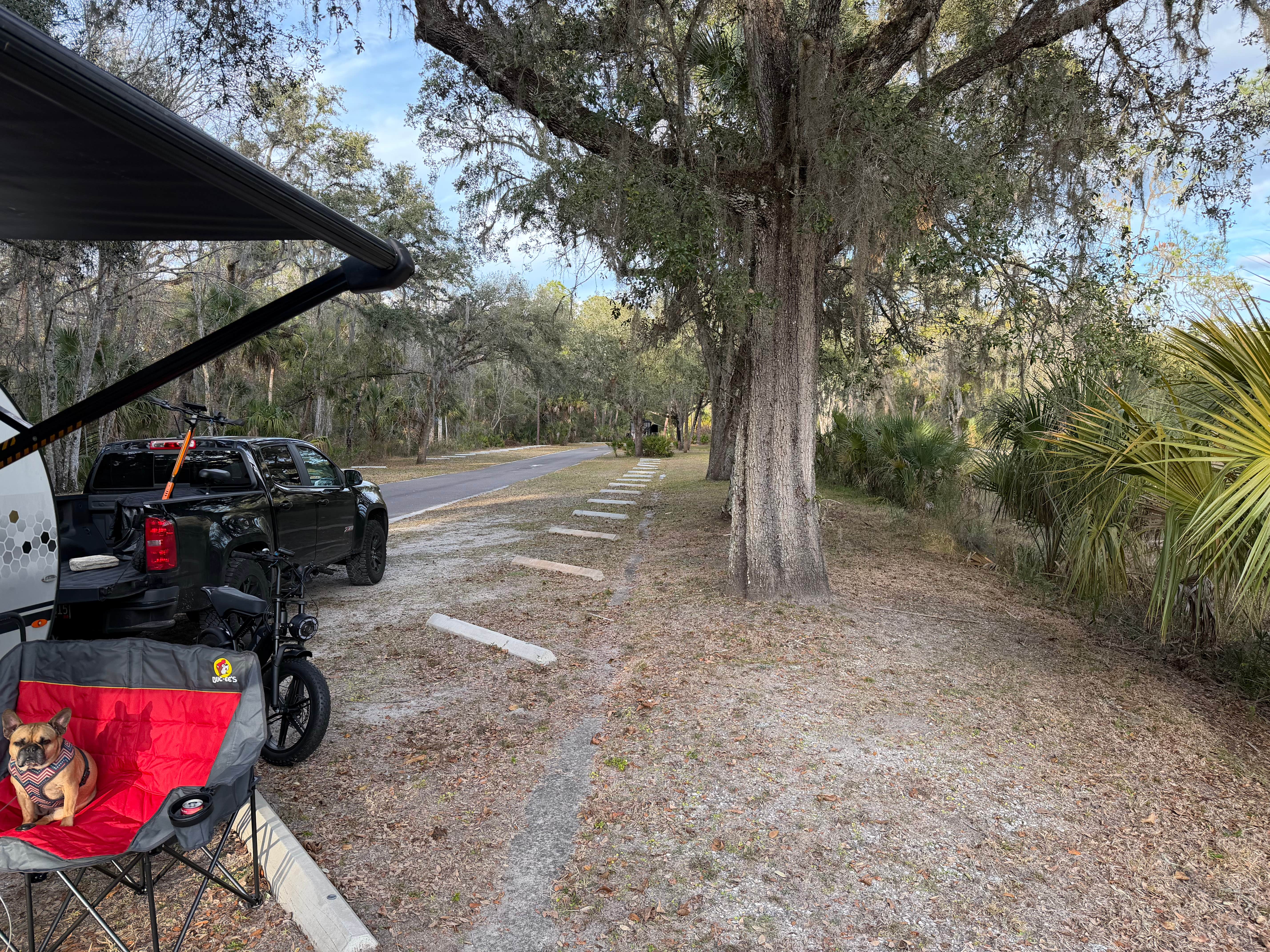 PJ R.'s photo of camping with pets at Hillsborough River State Park Campground near Dover, FL