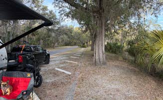 PJ R.'s photo of camping with pets at Hillsborough River State Park Campground near Temple Terrace, FL