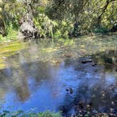 Review photo of Hillsborough River State Park Campground by Lauren W., October 27, 2023