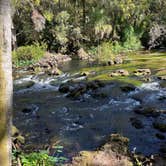 Review photo of Hillsborough River State Park Campground by Lauren W., October 27, 2023