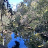 Review photo of Hillsborough River State Park Campground by Lauren W., October 27, 2023