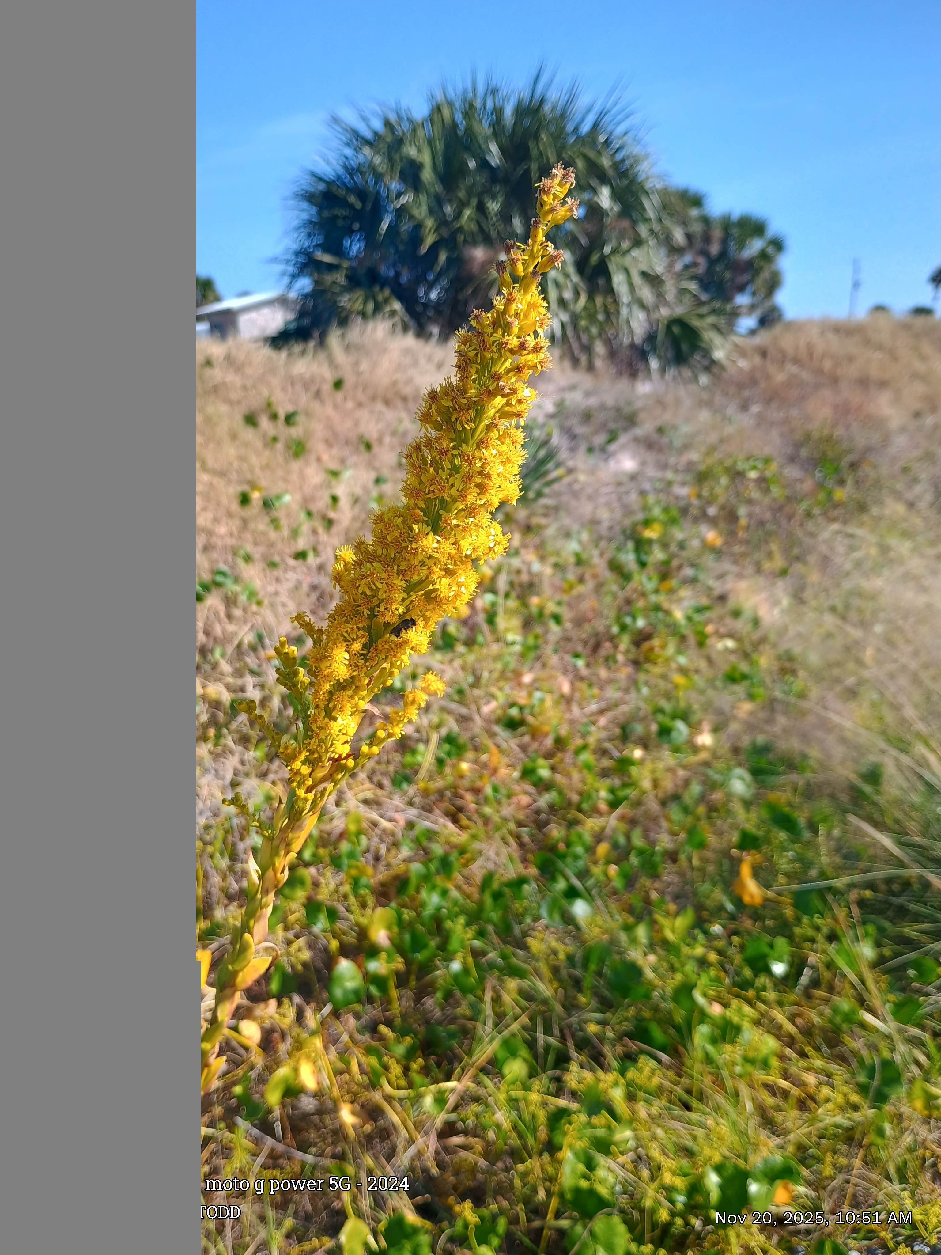 Camper-submitted photo at Huguenot Memorial Park near Jacksonville, FL