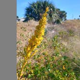 Review photo of Huguenot Memorial Park by Todd M., December 10, 2025