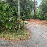 Review photo of Juniper Springs Rec Area - Tropical Camp Area by Roger W., December 4, 2023