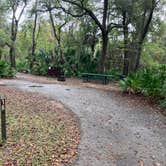 Review photo of Juniper Springs Rec Area - Tropical Camp Area by Roger W., December 4, 2023