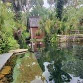 Review photo of Juniper Springs Rec Area - Tropical Camp Area by robert R., May 26, 2026
