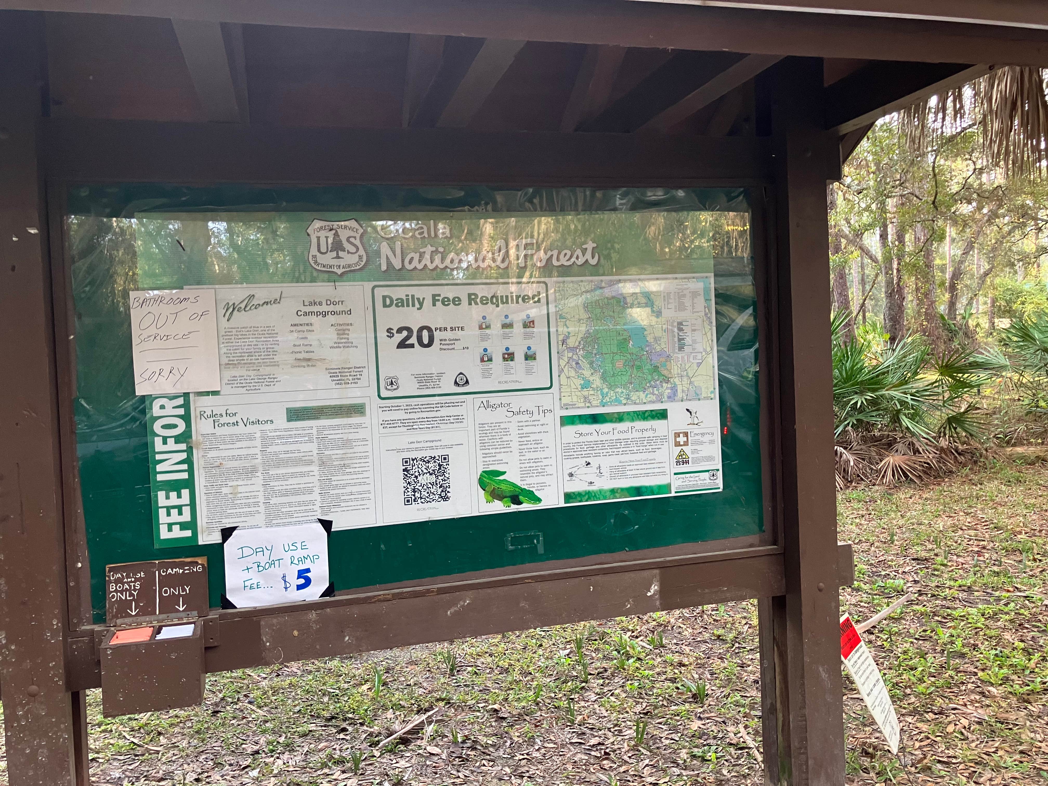 Camping near Country Squire RV Resort: Ocala National Forest Lake Dorr Campground, Altoona, Florida