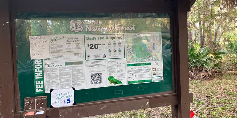 Camper submitted image from Ocala National Forest Lake Dorr Campground
