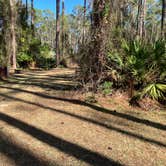 Review photo of Ocala National Forest Lake Dorr Campground by Roger W., February 12, 2024