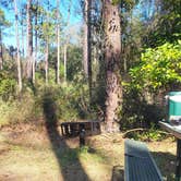 Review photo of Ocala National Forest Lake Dorr Campground by Amber H., February 5, 2024