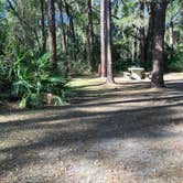 Review photo of Ocala National Forest Lake Dorr Campground by Roger W., February 12, 2024