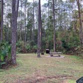 Review photo of Ocala National Forest Lake Dorr Campground by Roger W., December 3, 2023