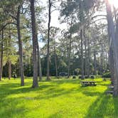 Review photo of Ocala National Forest Lake Dorr Campground by Darcie C., September 29, 2023