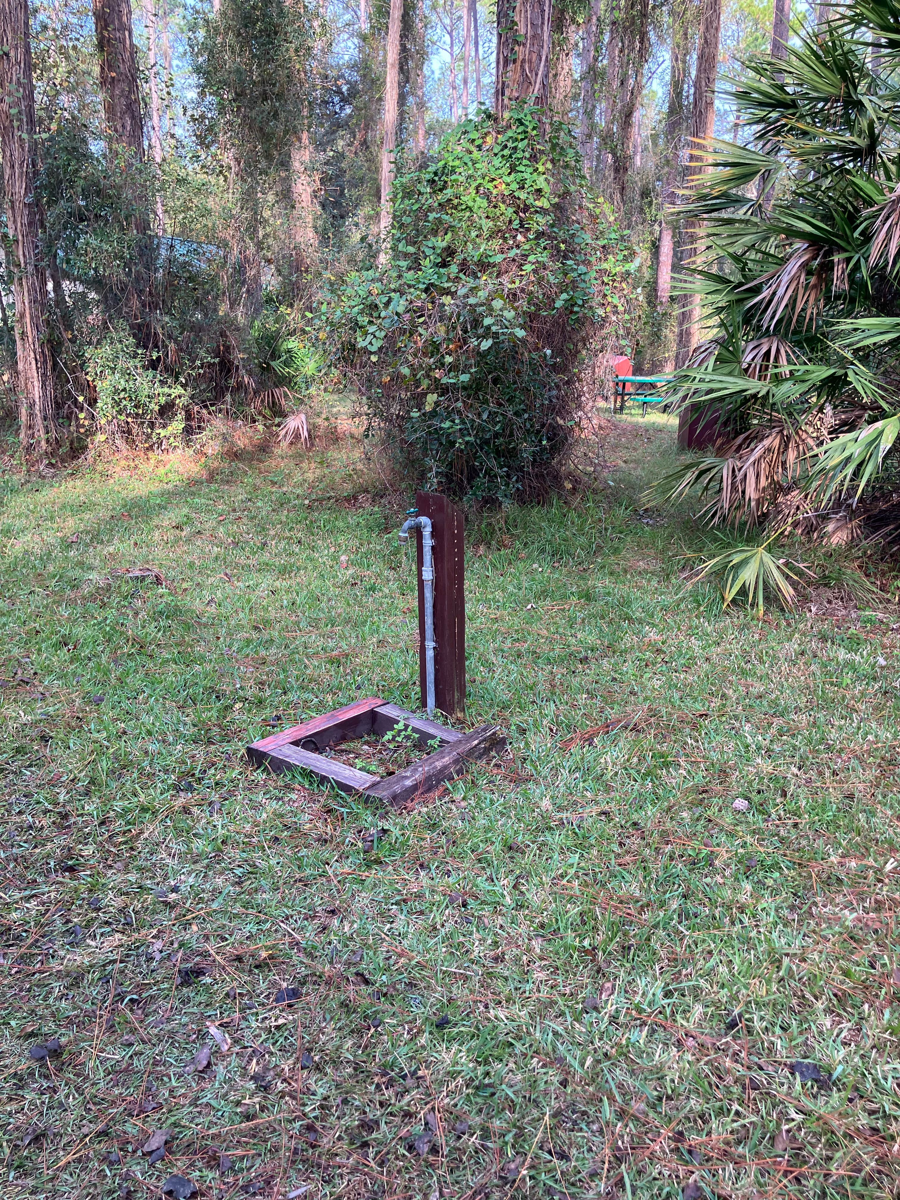 Camper-submitted photo at Ocala National Forest Lake Dorr Campground near Umatilla, FL