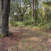 Review photo of Ocala National Forest Lake Dorr Campground by ENRIQUE T., October 3, 2024