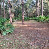 Review photo of Ocala National Forest Lake Dorr Campground by Roger W., December 3, 2023