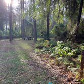 Review photo of Ocala National Forest Lake Dorr Campground by Roger W., December 3, 2023