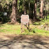 Review photo of Ocala National Forest Lake Dorr Campground by Roger W., February 12, 2024