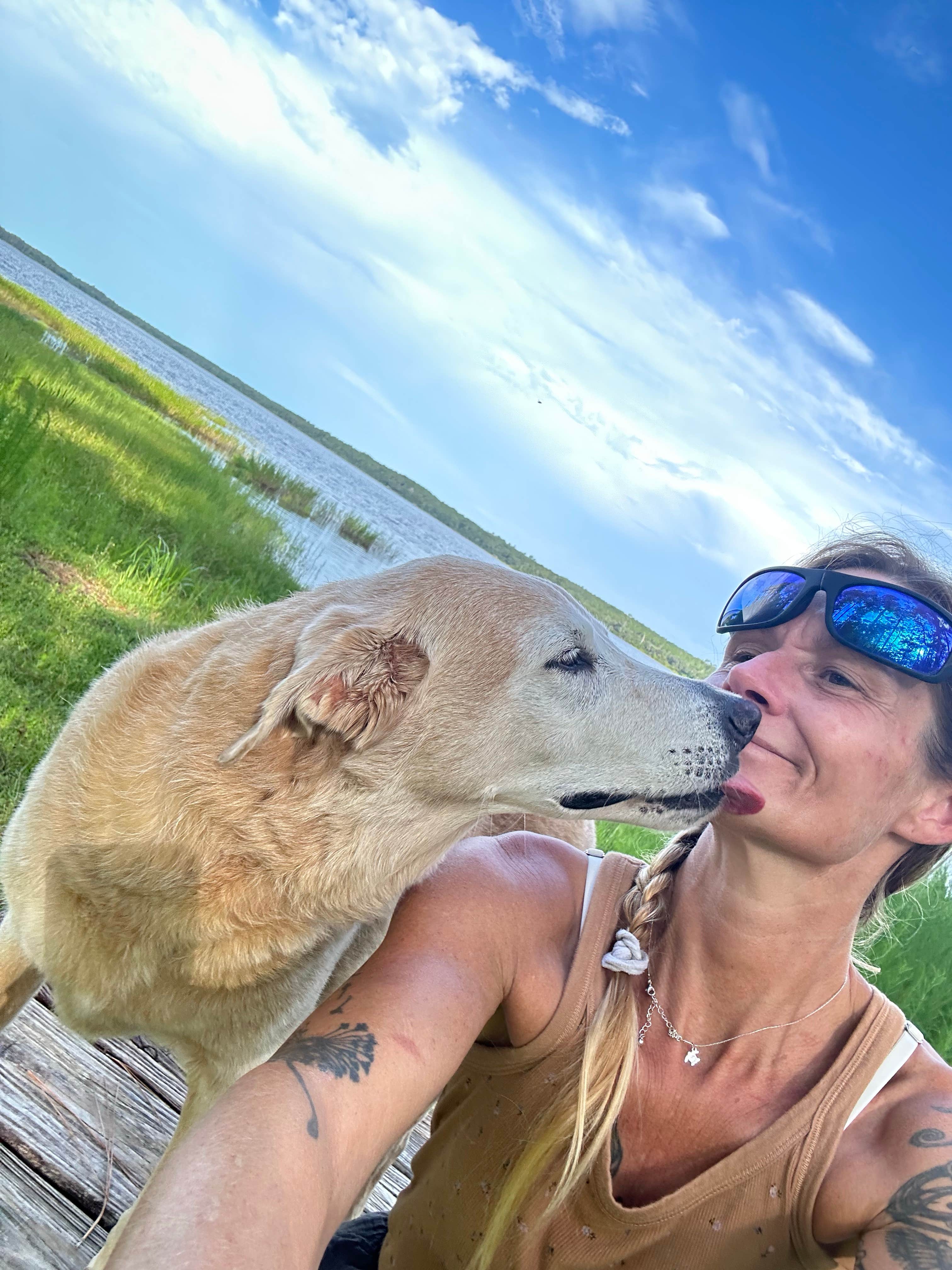 Darcie C.'s photo of camping with pets at Ocala National Forest Lake Dorr Campground near Mount Dora, FL