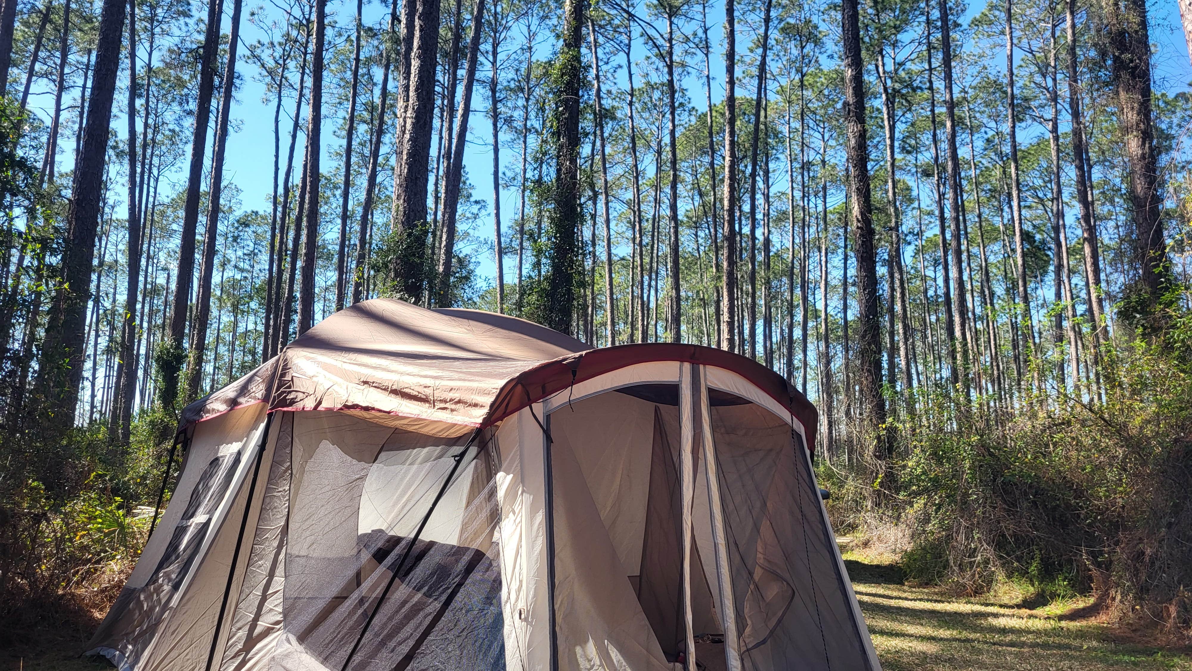 Camper-submitted photo at Ocala National Forest Lake Dorr Campground near Umatilla, FL
