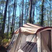 Review photo of Ocala National Forest Lake Dorr Campground by Amber H., February 5, 2024