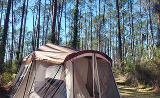 Amber H.'s photo at Ocala National Forest Lake Dorr Campground near Umatilla, FL