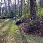 Review photo of Ocala National Forest Lake Dorr Campground by Roger W., December 3, 2023