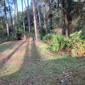 Review photo of Ocala National Forest Lake Dorr Campground by Roger W., December 3, 2023