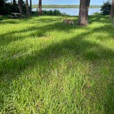 Review photo of Ocala National Forest Lake Dorr Campground by Darcie C., September 29, 2023