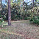 Review photo of Ocala National Forest Lake Dorr Campground by Roger W., December 3, 2023