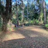 Review photo of Ocala National Forest Lake Dorr Campground by Roger W., December 3, 2023