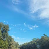 Review photo of Ocala National Forest Lake Dorr Campground by Amber H., February 5, 2024