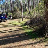 Review photo of Ocala National Forest Lake Dorr Campground by Roger W., February 12, 2024