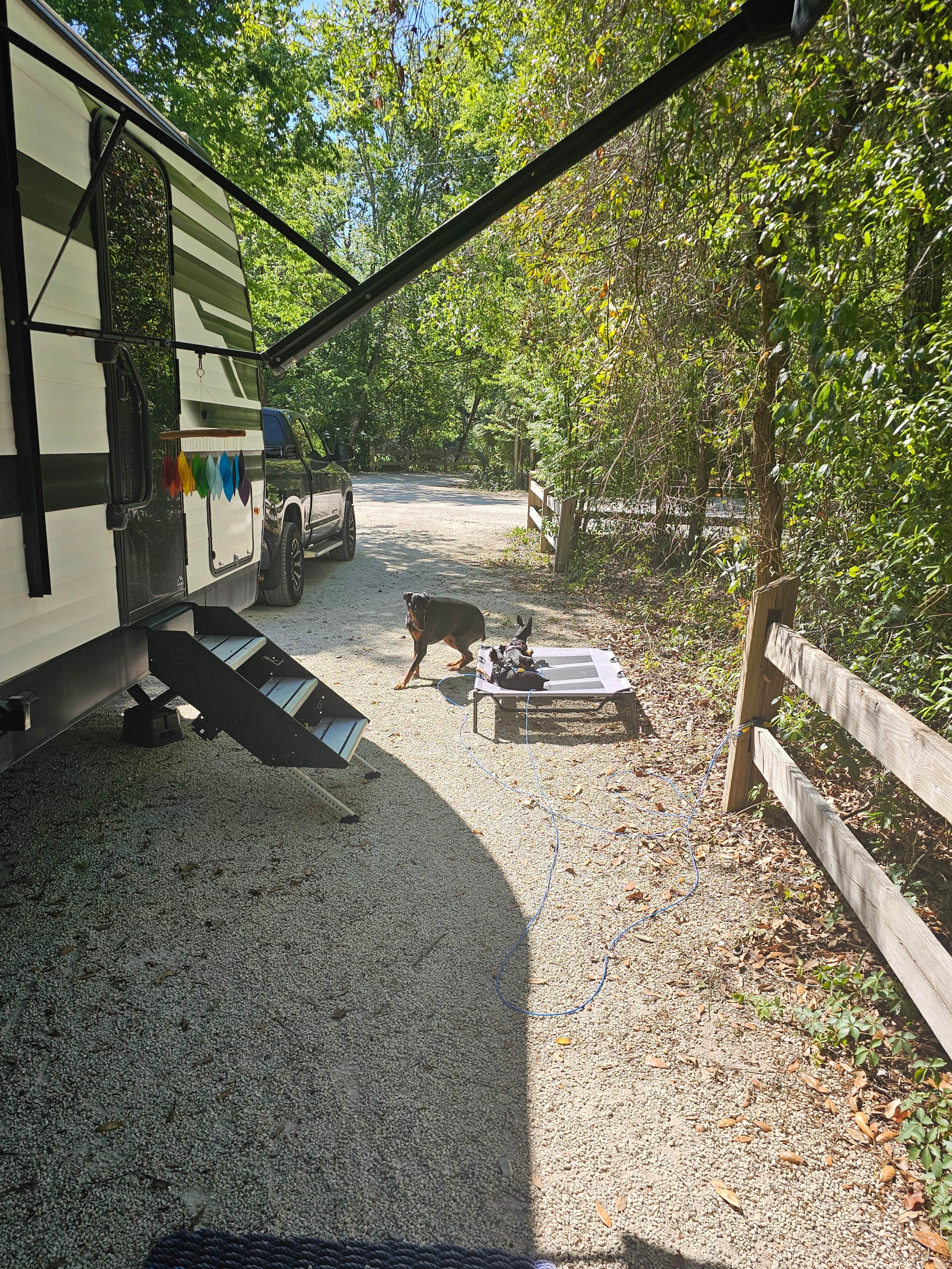 Dwayne J.'s photo of camping with pets at Lake Griffin State Park Campground near Mount Dora, FL