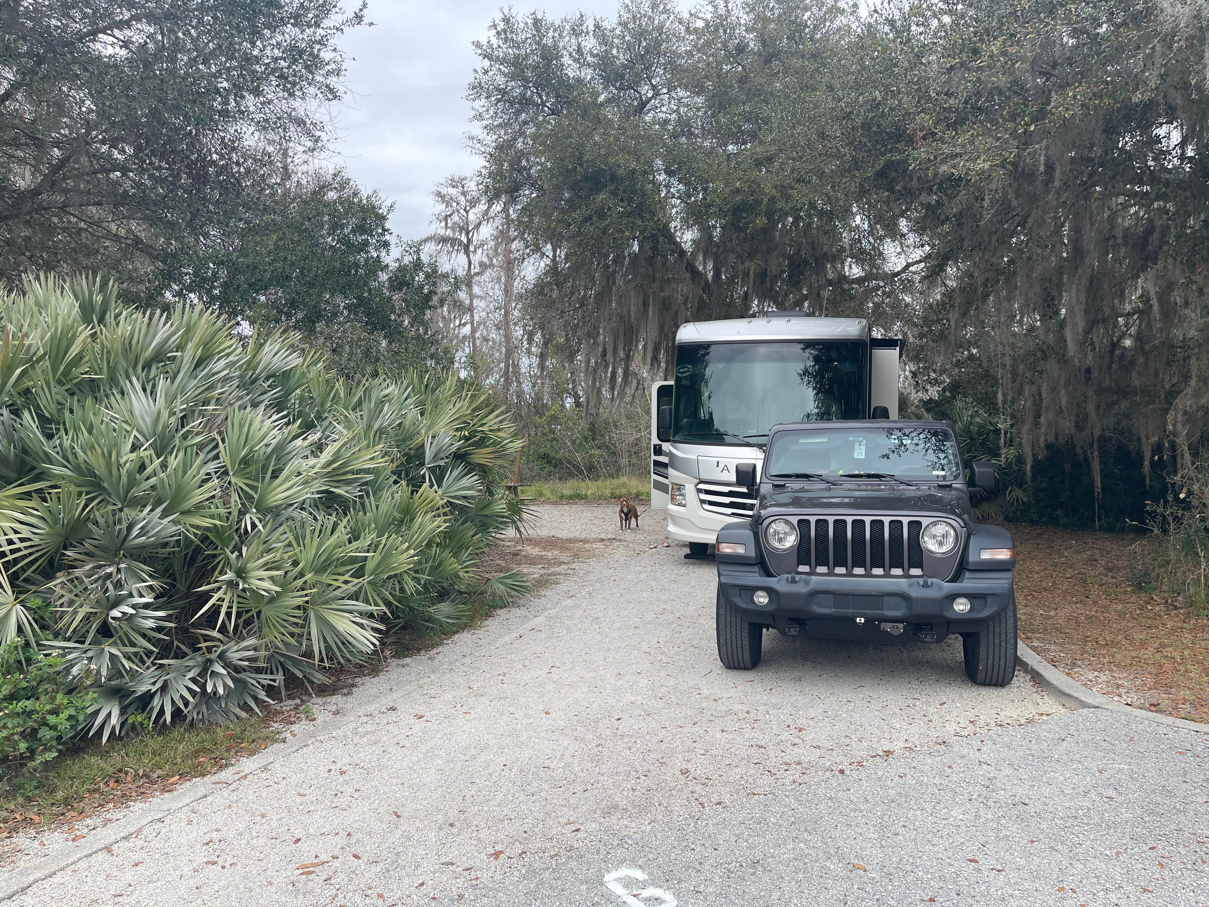 Joe R.'s photo of camping with pets at Lake Louisa State Park Campground near Orlando, FL