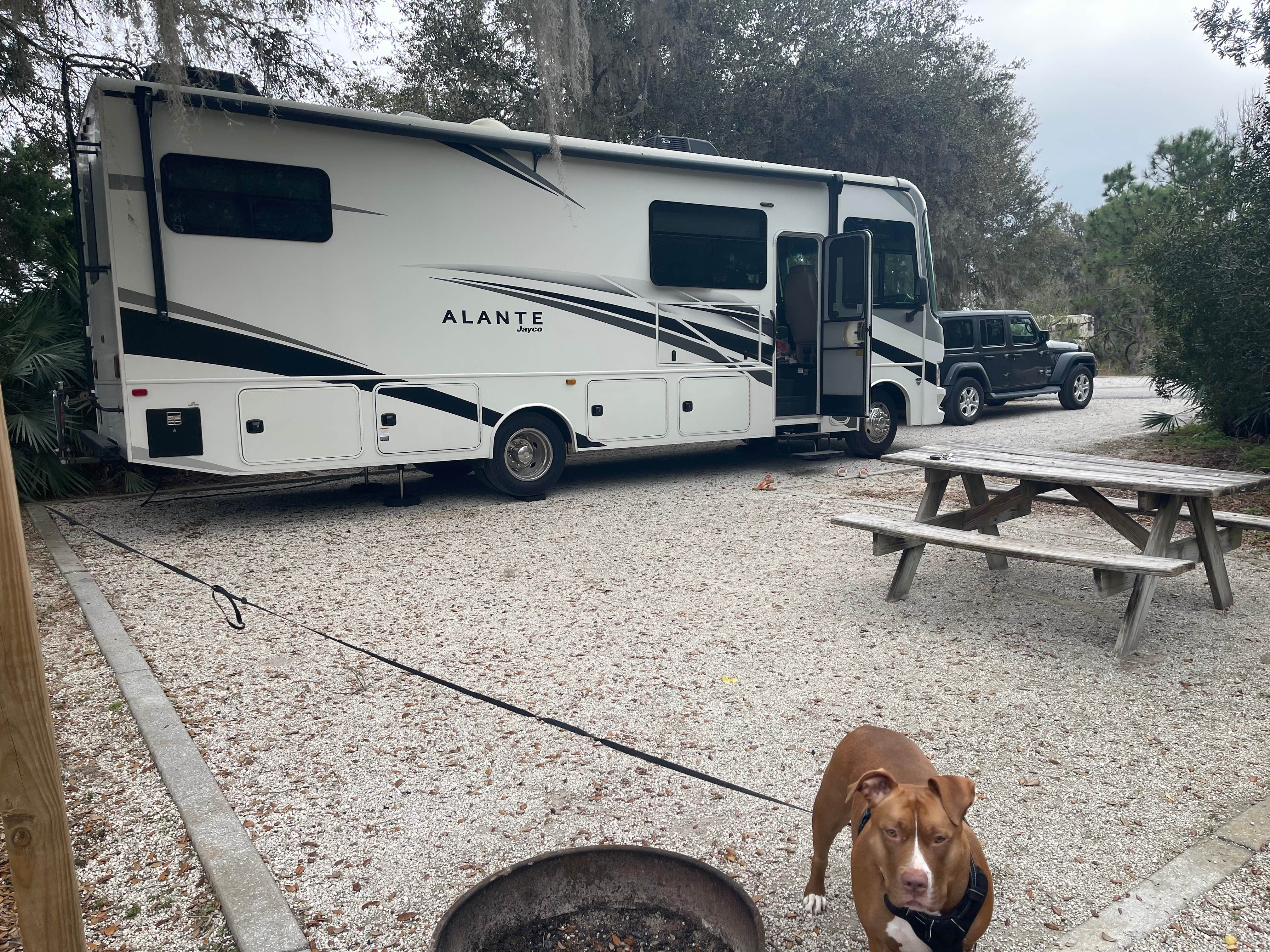 Joe R.'s photo of camping with pets at Lake Louisa State Park Campground near Poinciana, FL