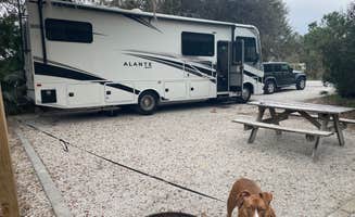 Joe R.'s photo of camping with pets at Lake Louisa State Park Campground near Poinciana, FL
