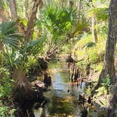 Review photo of Lake Mills Park by Stephanie C., February 17, 2024