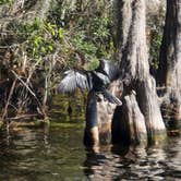 Review photo of Lake Mills Park by Stephanie C., February 17, 2024