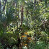 Review photo of Lake Mills Park by Emily A., November 25, 2025