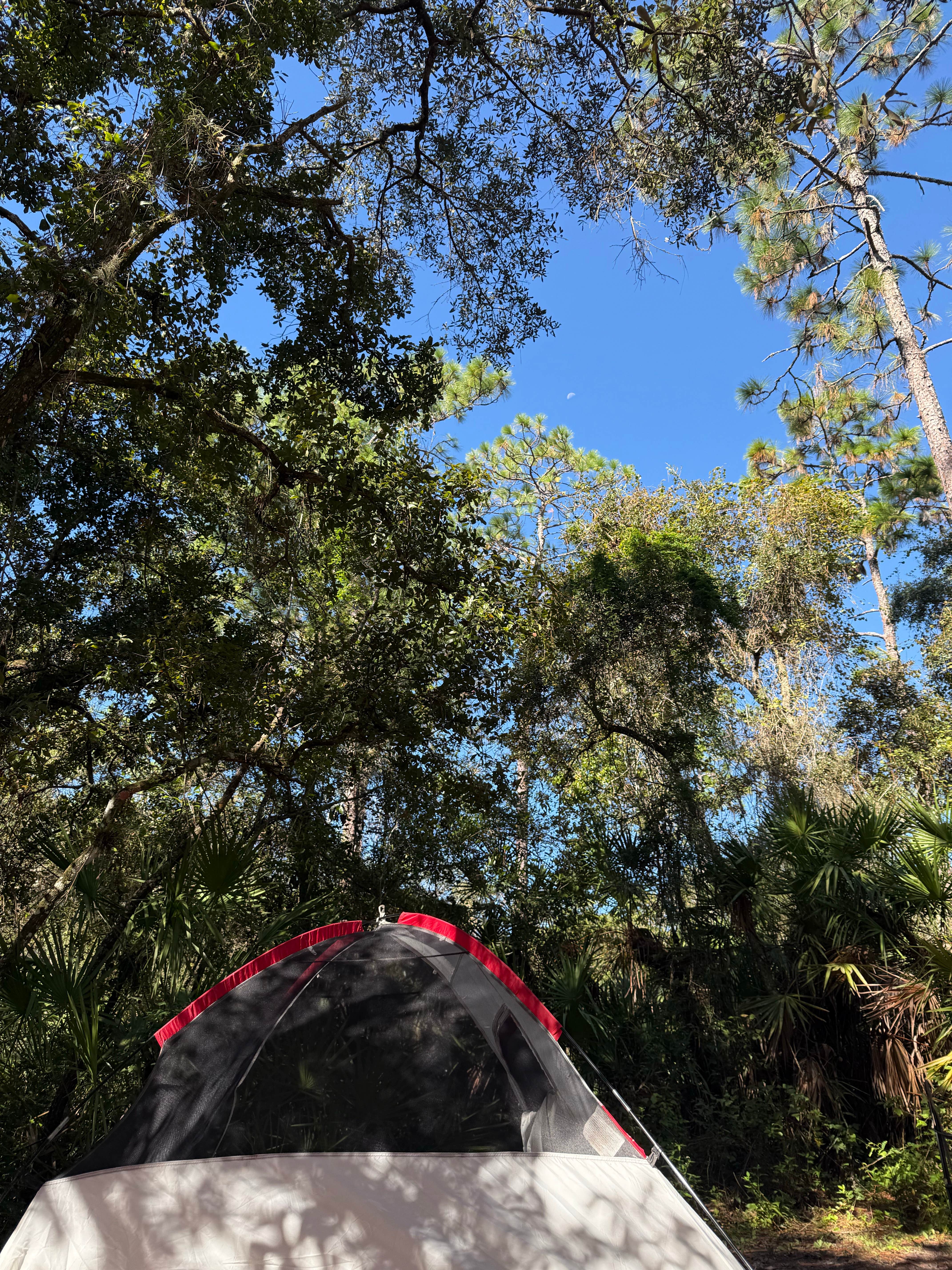 Emily A.'s photo of tent camping at Lake Mills Park near Osteen, FL