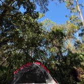 Review photo of Lake Mills Park by Emily A., November 25, 2025