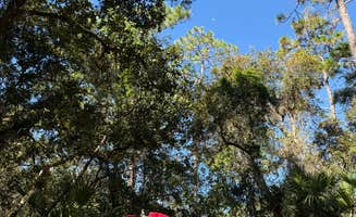 Emily A.'s photo at Lake Mills Park near Mims, FL